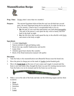 Mummification Recipe