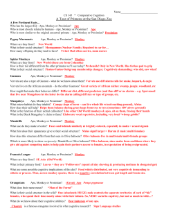 San Diego Zoo Survey Answers