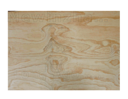 Fort Erie Peace Bridge Commission