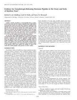 Evidence for Gonadotropin-Releasing Hormone Peptides in the