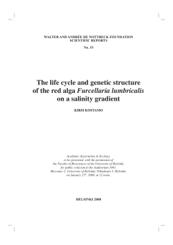 The life cycle and genetic structure of the red alga