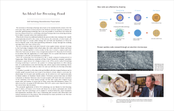 An Ideal for Freezing Food