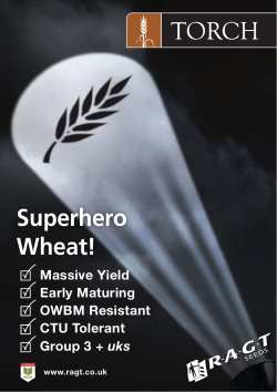 Superhero Wheat!