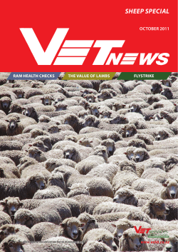 October Vet News 2011 - Vet Services Hawkes Bay