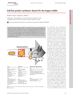 Cell-free protein synthesis: Search for the happy middle