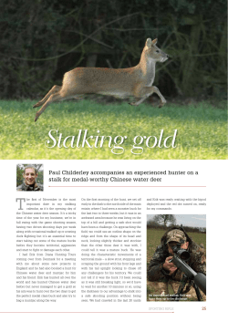 Stalking gold - Childerley Sporting