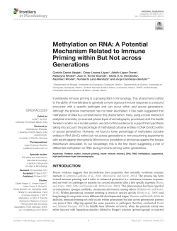 Methylation on RNA: A Potential Mechanism Related to Immune