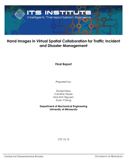 PDF - Center for Transportation Studies