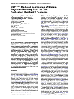 Figure 1 - Department of Pathology