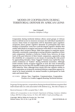 modes of cooperation during territorial defense by african lions