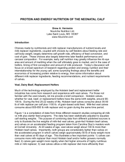 Protein and Energy Nutrition of the Neonatal Calf