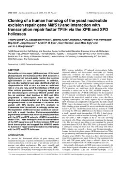 Cloning of a human homolog of the yeast nucleotide excision repair