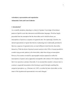Articulatory representation and phonological organization