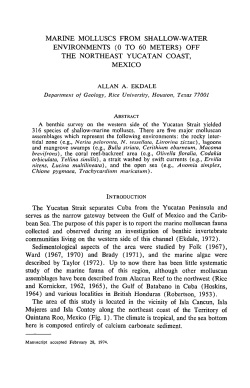 Marine Molluscs from Shallow-Water Environments (0 to 60 Meters