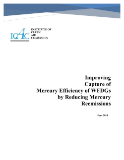 Improving Capture of Mercury Efficiency of WFDGs by