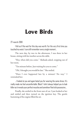 Love Birds - Satyapal