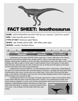 FACT SHEET: lesothosaurus