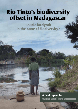 Rio Tinto`s biodiversity offset in Madagascar