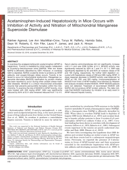 Acetaminophen-Induced Hepatotoxicity in Mice