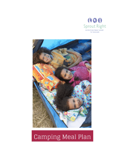 Camping Meal Plan