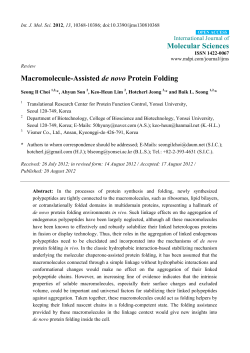 Macromolecule-Assisted de novo Protein Folding