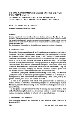 Cytotaxonomic studies in the genus Symphytum. II. Crossing