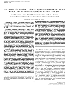 The Kinetics of Aflatoxin B1 Oxidation by Human