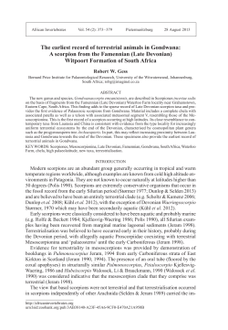 The earliest record of terrestrial animals in Gondwana