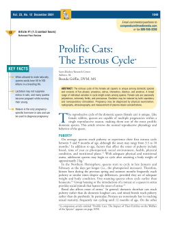 Prolific Cats: The Estrous Cycle