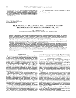 MORPHOLOGY, TAXONOMY, AND CLASSIFICATION OF THE