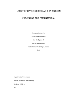 Effect of hypochlorous acid on antigen processing