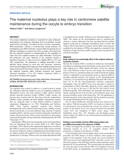 The maternal nucleolus plays a key role in centromere satellite