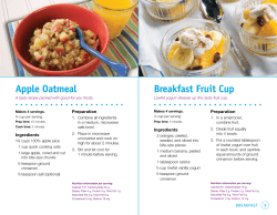 Apple Oatmeal Breakfast Fruit Cup