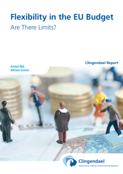 Flexibility in the EU Budget