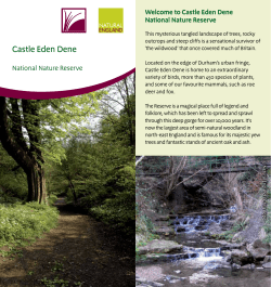Castle Eden Dene - Natural England publications