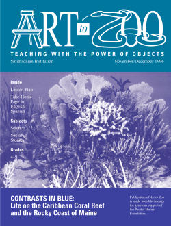 Contrasts in Blue - Smithsonian Education