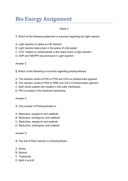 Bio Energy Assignment