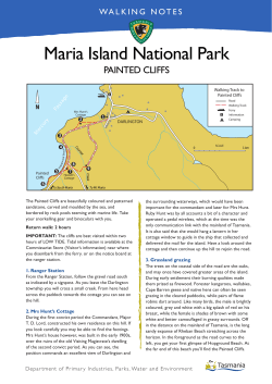 Maria Island - Painted Cliffs