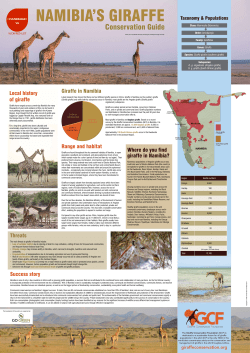 Giraffe in Namibia Range and habitat Where do you find giraffe in