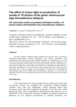 The effect of colour light on production of zooids in 10 strains of the
