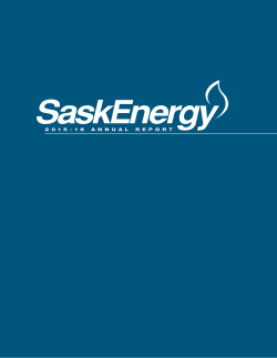 2 0 1 5 - 1 6 annualreport