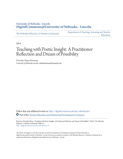 A Practitioner Reflection and Dream of Possibility