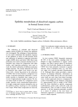 Epilithic metabolism of dissolved organic carbon