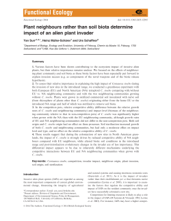 Plant neighbours rather than soil biota determine impact of an alien