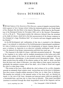 On the genus Dinornis