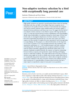 Non-adaptive territory selection by a bird with exceptionally