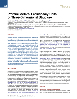Protein Sectors: Evolutionary Units of Three
