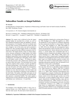 Subseafloor basalts as fungal habitats