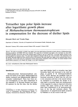 Tetraether type polar lipids increase after logarithmic growth phase