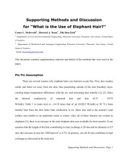 Supporting Methods and Discussion for &ldquo;What is the Use of Elephant